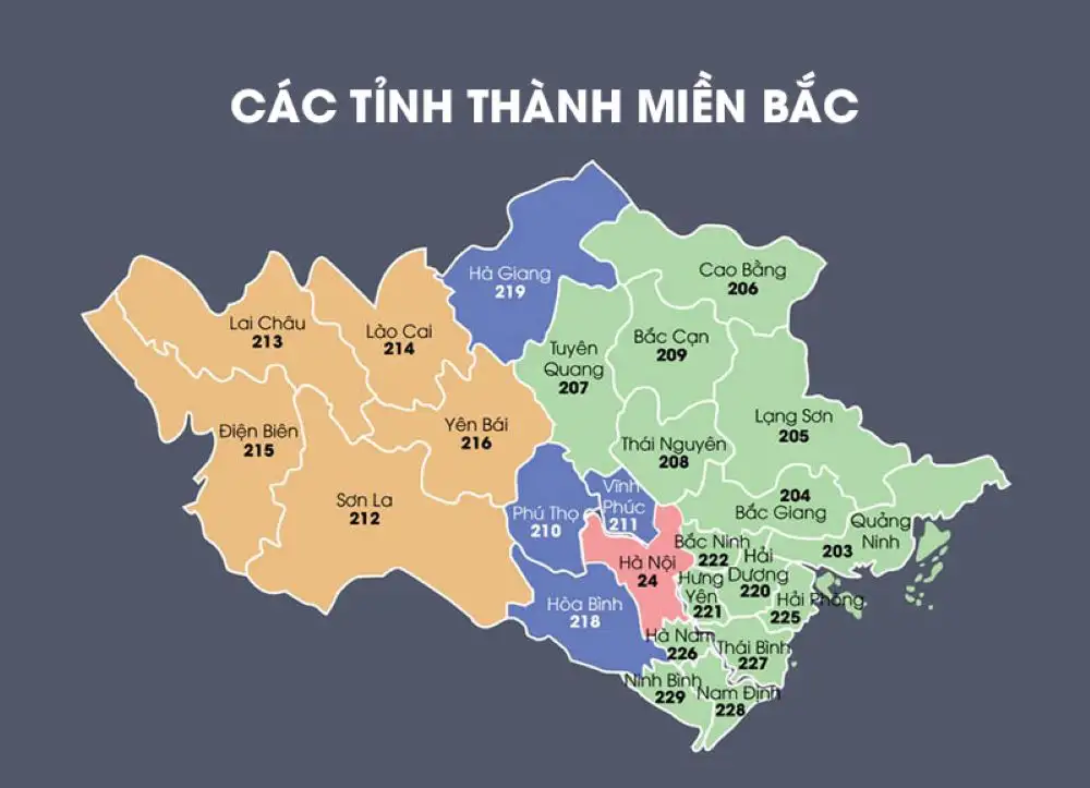 Máy Trộn Bê Tông Cưỡng Bức – Sản Xuất Trực Tiếp Theo Yêu Cầu